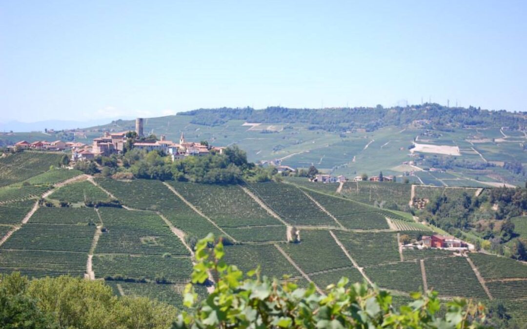 Tour di Charme nelle Langhe