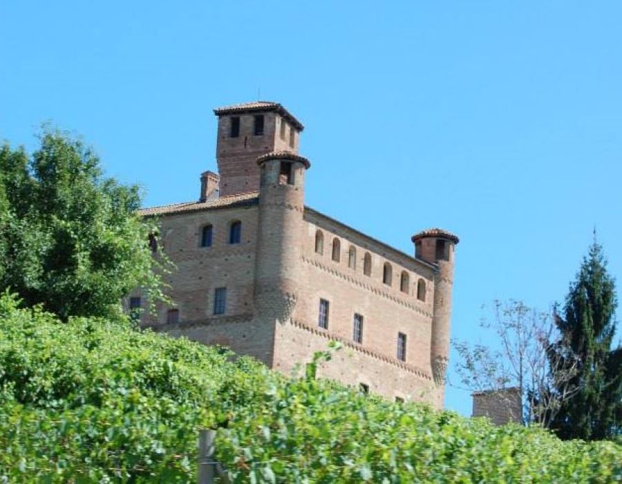 Castle of Grinzane Cavour, Langhe, Piemonte Welcome Piemonte, Experience, Langhe, Piemonte, guided tour