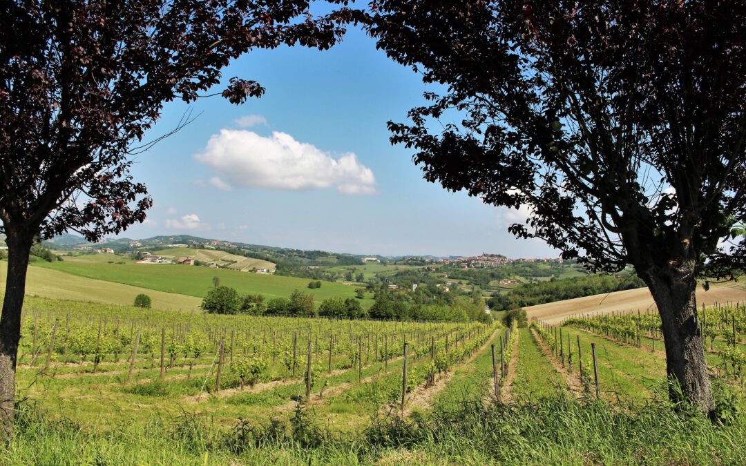 Monferrato Sotterraneo®