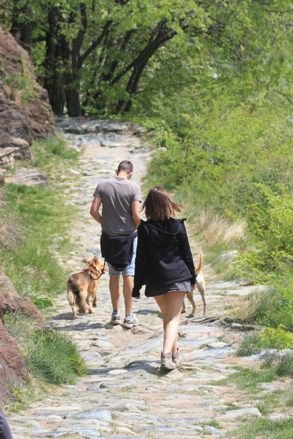 camminando in Val Grande Welcome Piemonte, Experience, Peridotiti, Colle del Lys, Torino, Piemonte