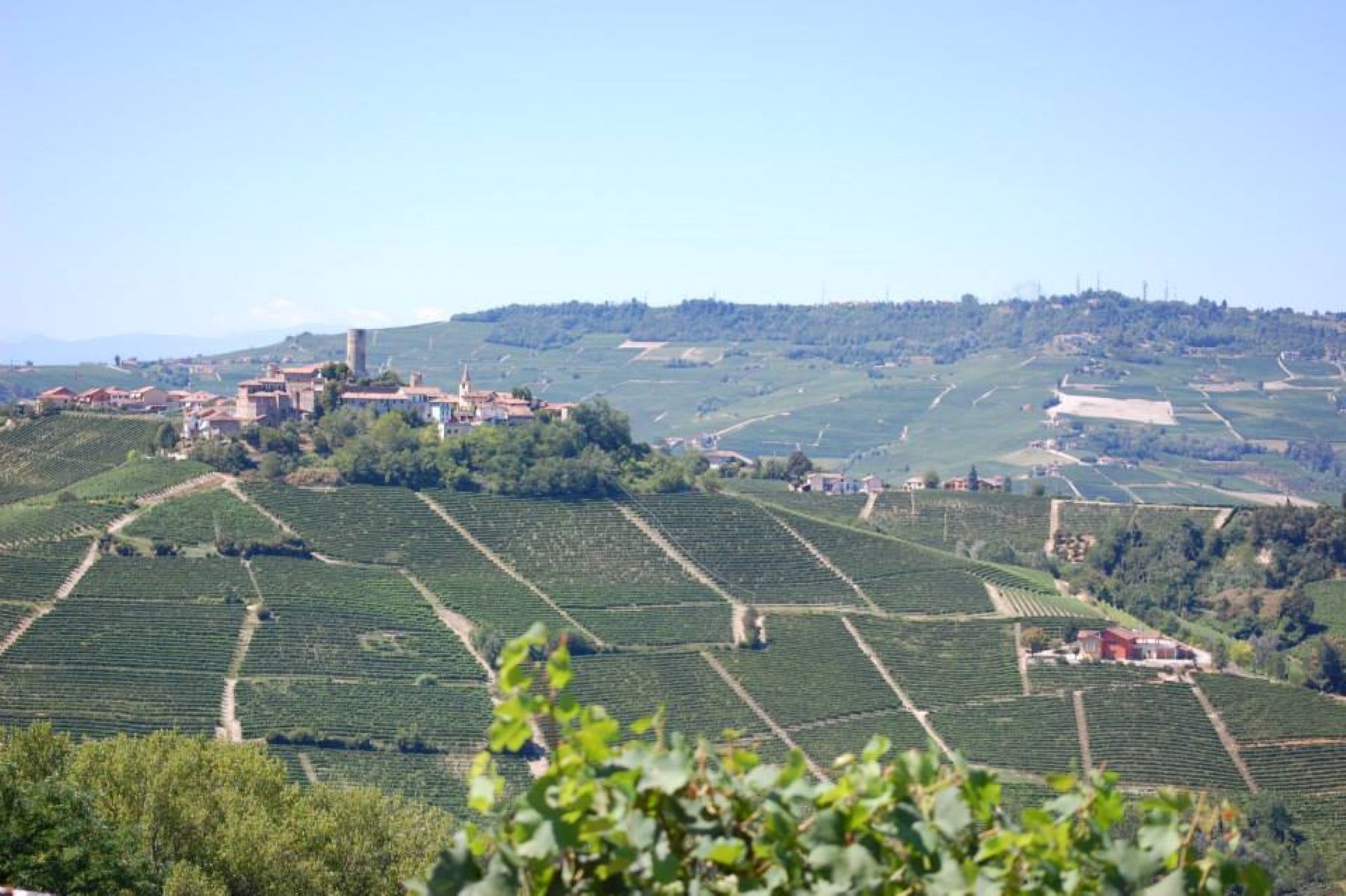 Langhe-Piemonte Welcome Piemonte, Experience, Monferrato, Asti, Piemonte, visita guidata