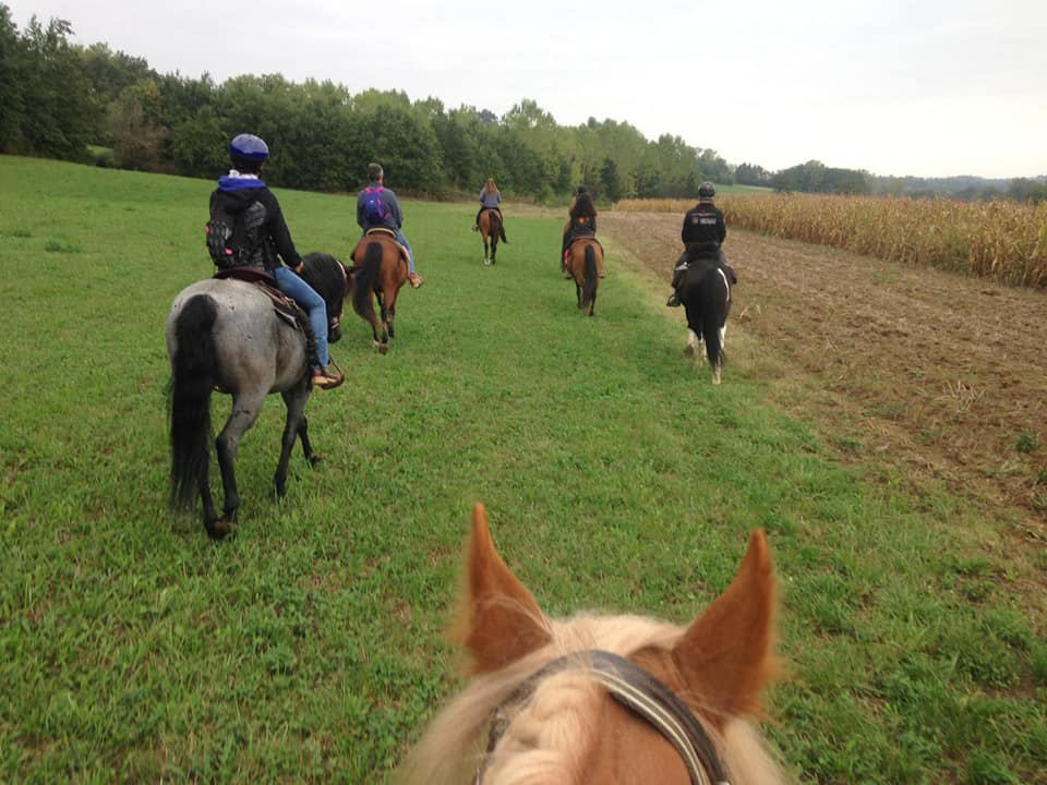 Passeggiata a cavallo 2