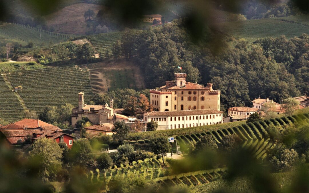 Langhe del Barolo.. share the wonder!