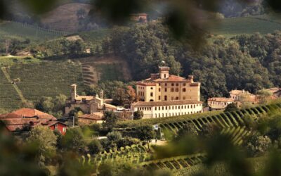 Langhe del Barolo.. share the wonder!