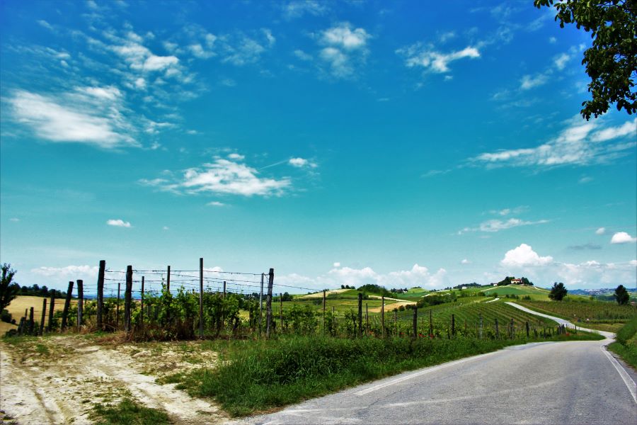 Experience, Monferrato, Asti, Piemonte Welcome Piemonte, Experience, Monferrato, Asti, Piemonte, tour guides