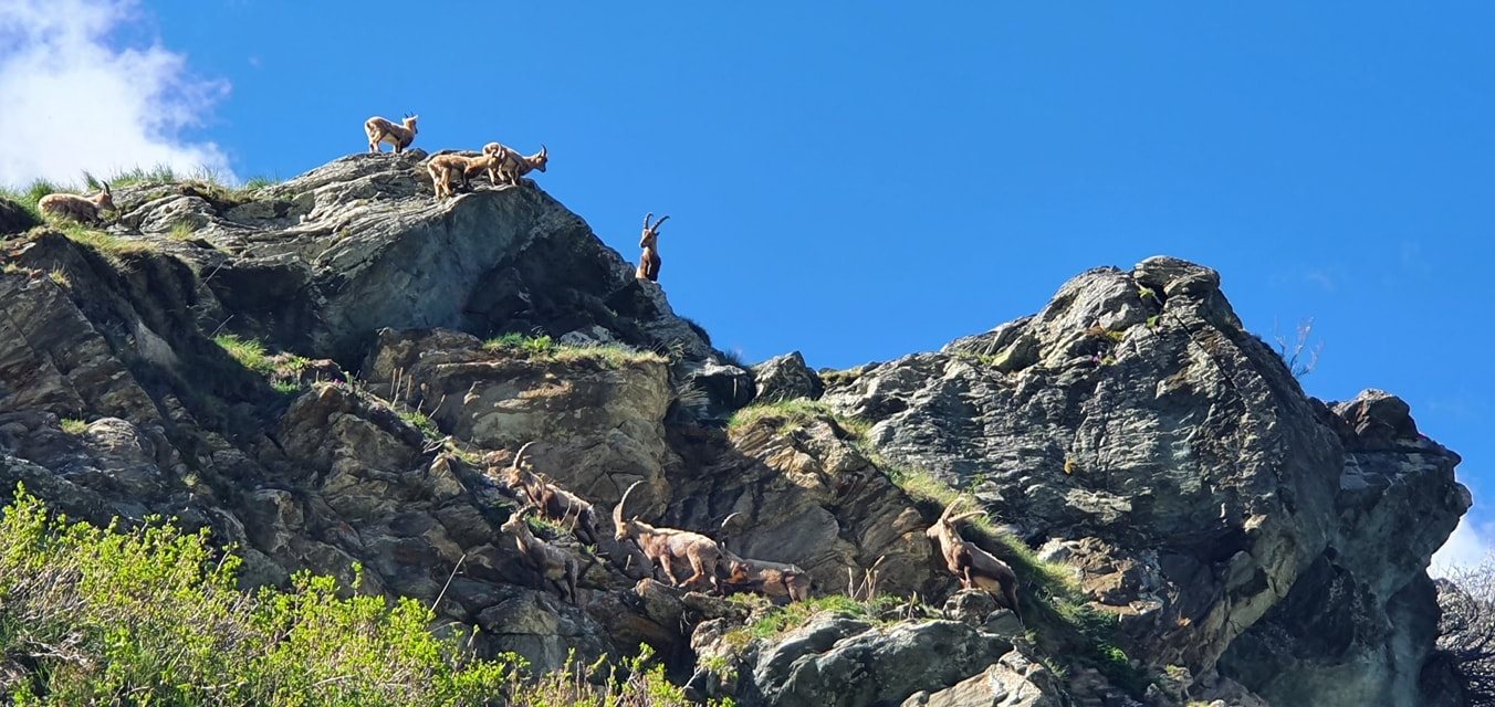 nelle Valli di Lanzo
