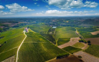 Wine Experience nelle Terre del Ruchè