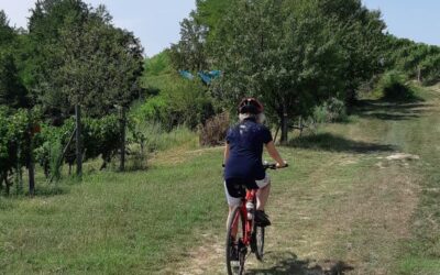 Barbera Ebike Experience