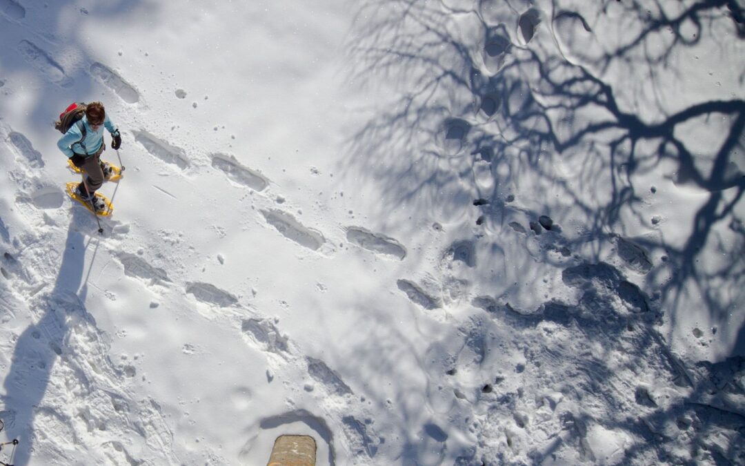 Snow Adventure
