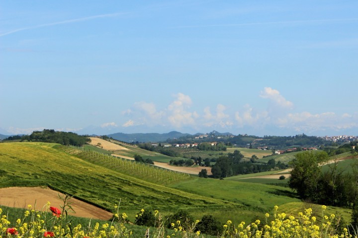 tra Calliano e Grana 9 Welcome Piemonte, Experience, Monferrato, Asti, Piemonte, visita guidata