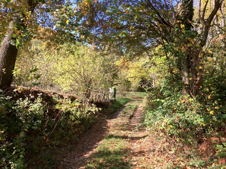 trekking nell'alta langa astigiana Welcome Piemonte, Experience, Monferrato, Asti, Piemonte, visita guidata