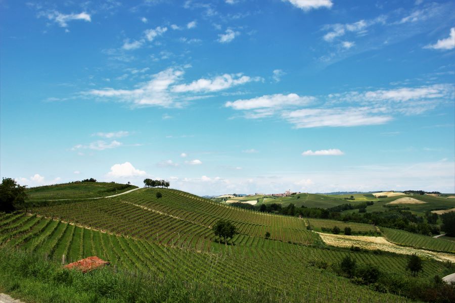 Welcome Piemonte, Experience, Monferrato, Asti, Piemonte, visita guidata