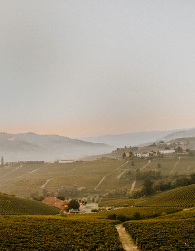 Vigneti Matteo Soria Winery, Castiglione Tinella, Langhe, Piemonte
