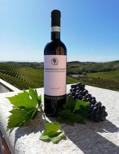 Vino Azienda Montalbera, Castagnole Monferrato, Piemonte