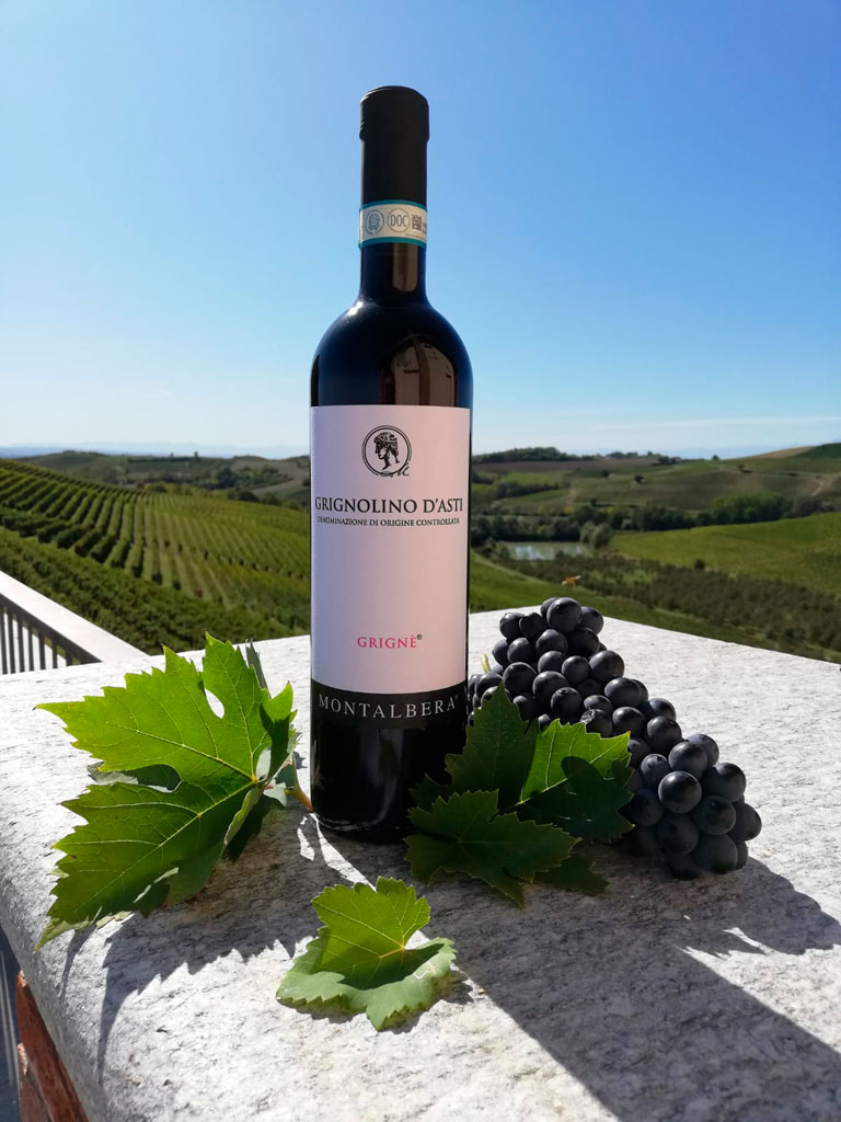 Montalbera_grignolino