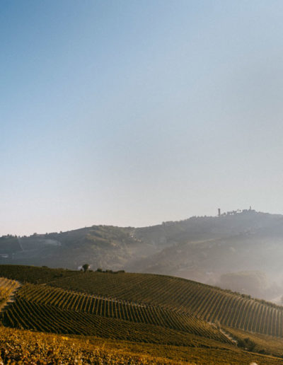 Vista Matteo Soria Winery, Castiglione Tinella, Langhe, Piemonte