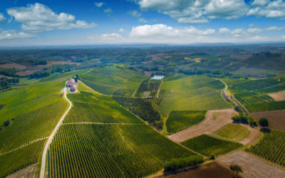Azienda Agricola MONTALBERA