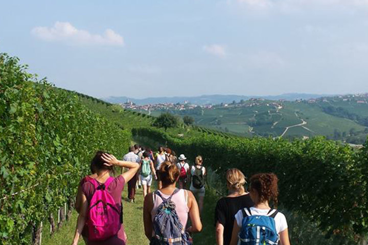 Green tour nelle Langhe, Piemonte Green tour nelle Langhe, Piemonte