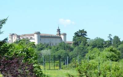 Affittacamere LA CASCINA DEI BANDITI