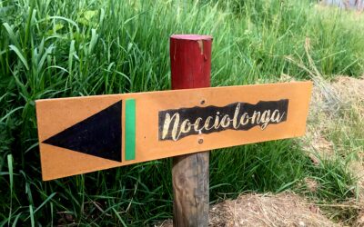 NOCCIOLONGA